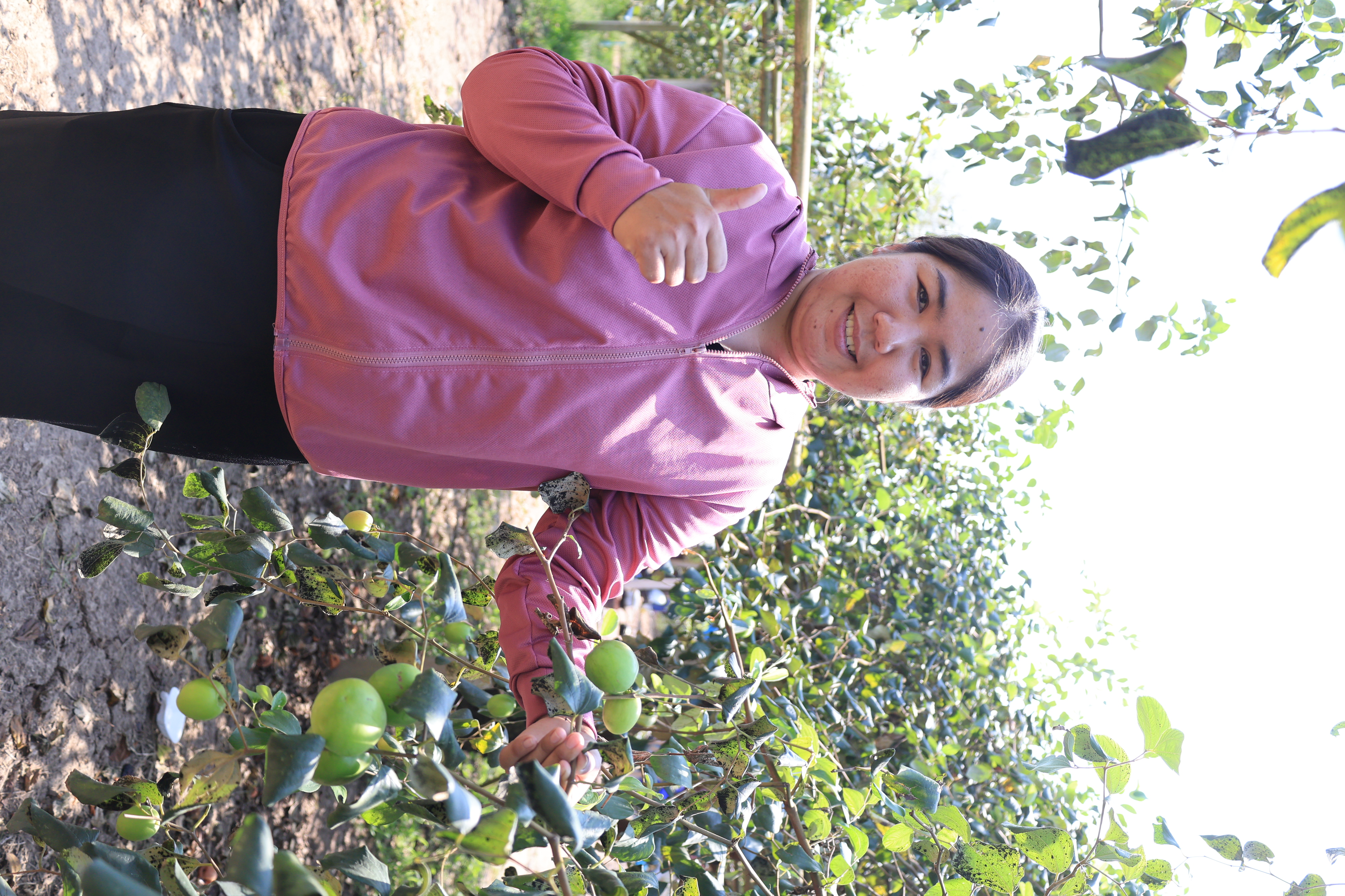 title - เลขาธิการ ส.ป.ก. และคณะ ตรวจเยี่ยมกลุ่มปลูกพุทรา บ้านท่าดีหมี หมู่ที่ 4 ต.ปากตม อ.เชียงคาน จ.เลย